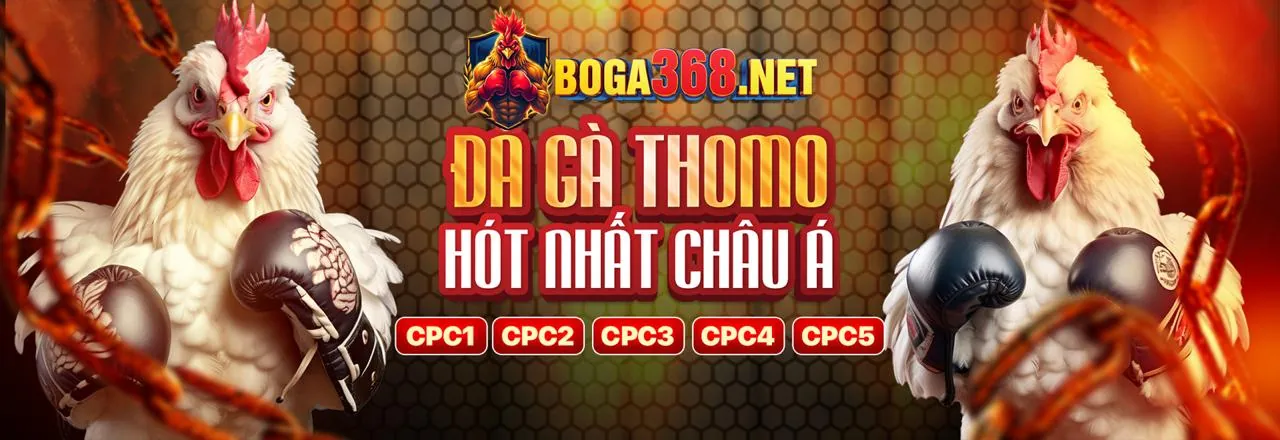 Sân đấu đá gà trực tuyến sôi động tại BetKing
